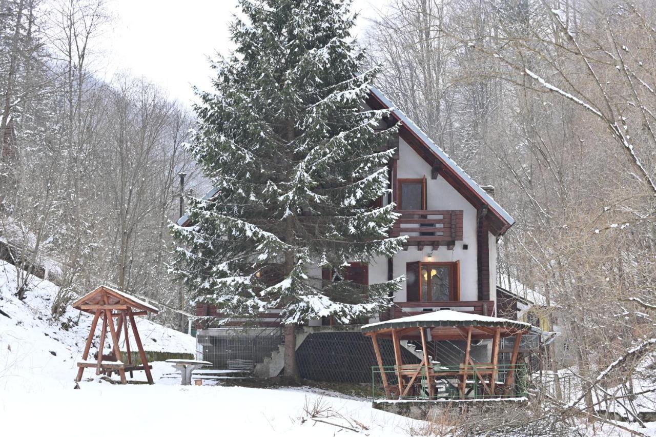 Casa De Vacanta Satic Piatra Craiului La Doi Viermi Экстерьер фото