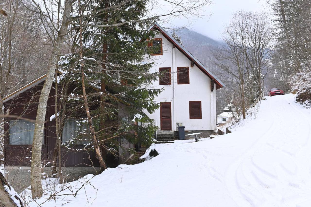 Casa De Vacanta Satic Piatra Craiului La Doi Viermi Экстерьер фото