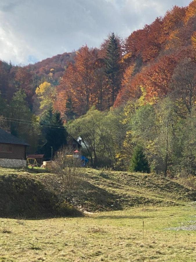 Casa De Vacanta Satic Piatra Craiului La Doi Viermi Экстерьер фото