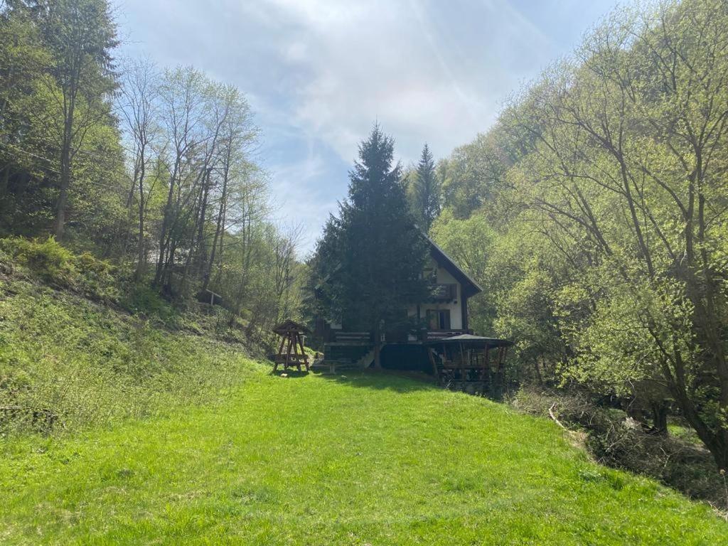 Casa De Vacanta Satic Piatra Craiului La Doi Viermi Экстерьер фото